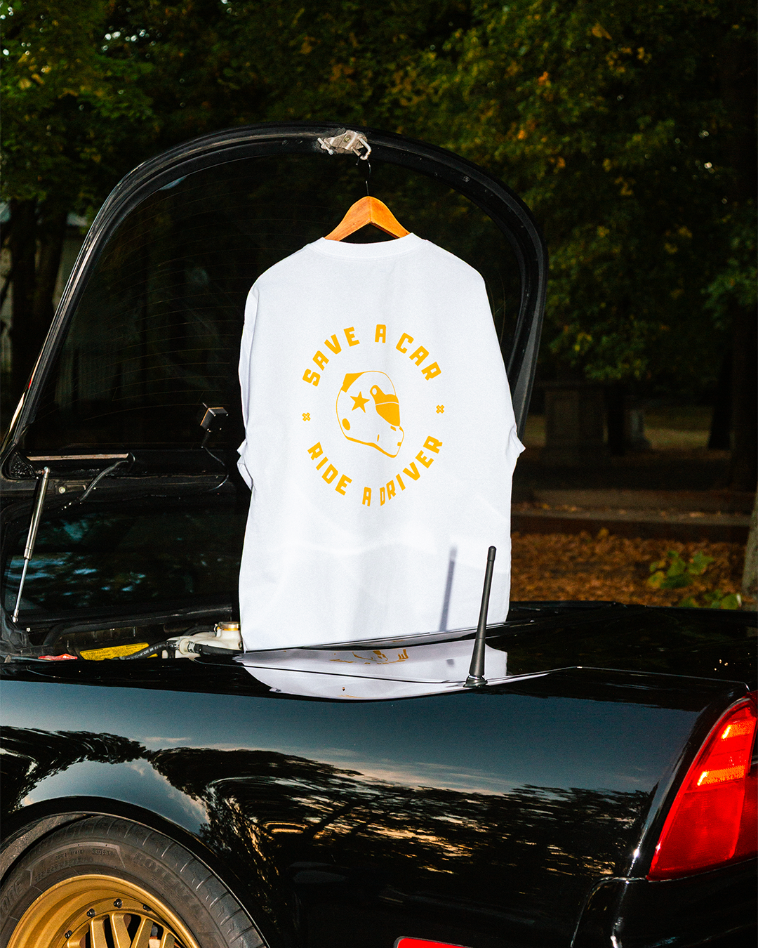 Save A Car